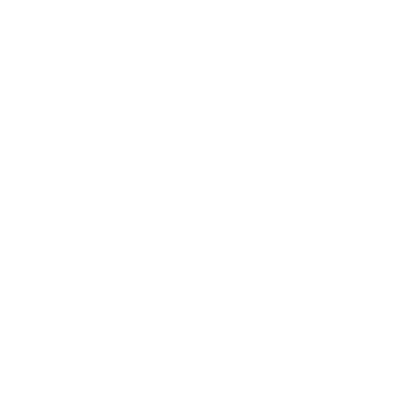 Forward-Solutions-Finance Graphic-v2
