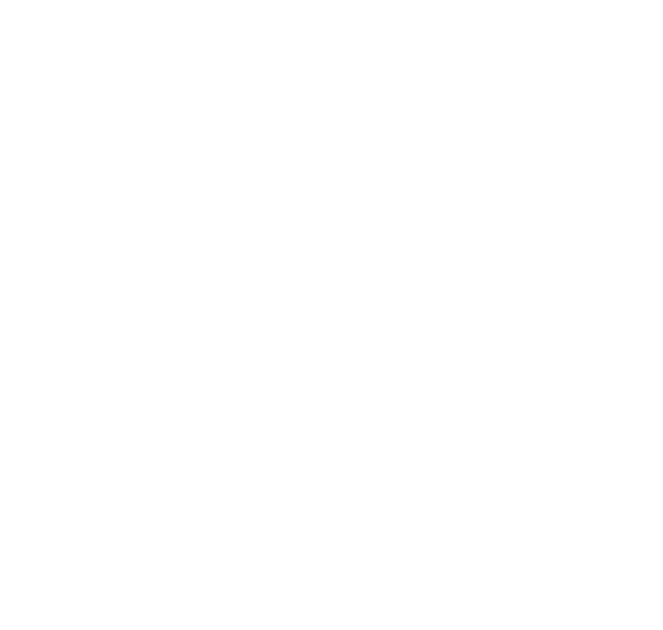 Forward-Solutions-Info-Tech-Graphic